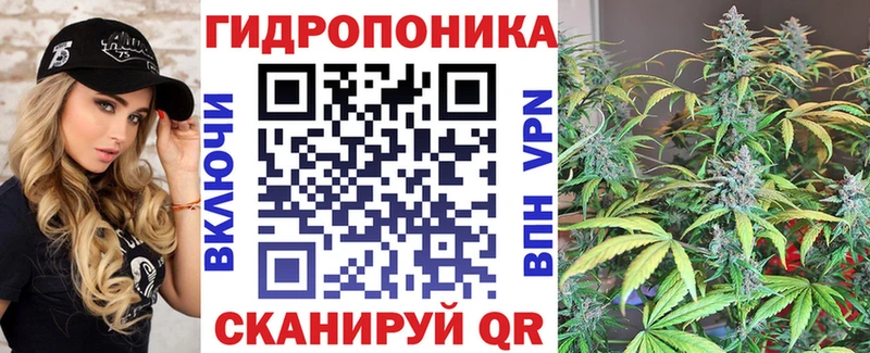blacksprut ссылка  Искитим  МАРИХУАНА White Widow 